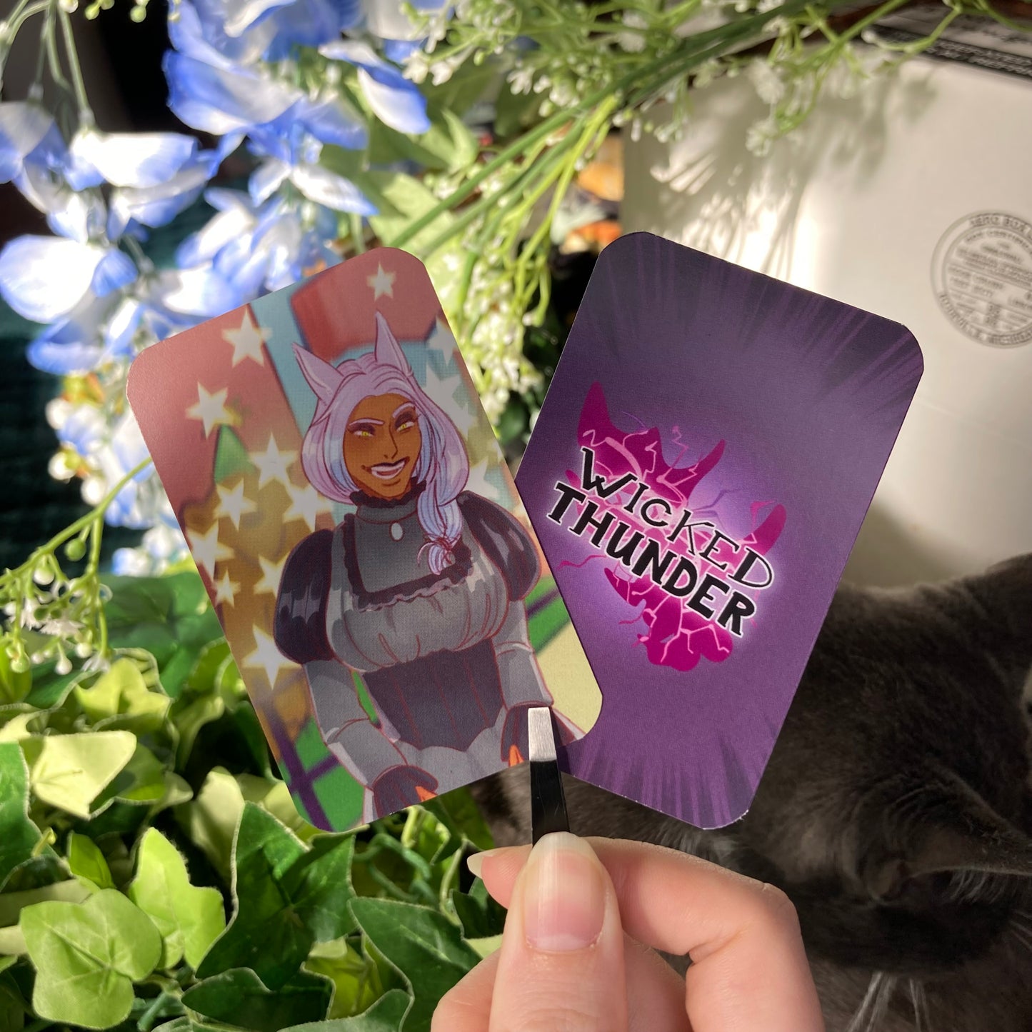 Fantasy Idol Wrestlers Raid Photocards!
