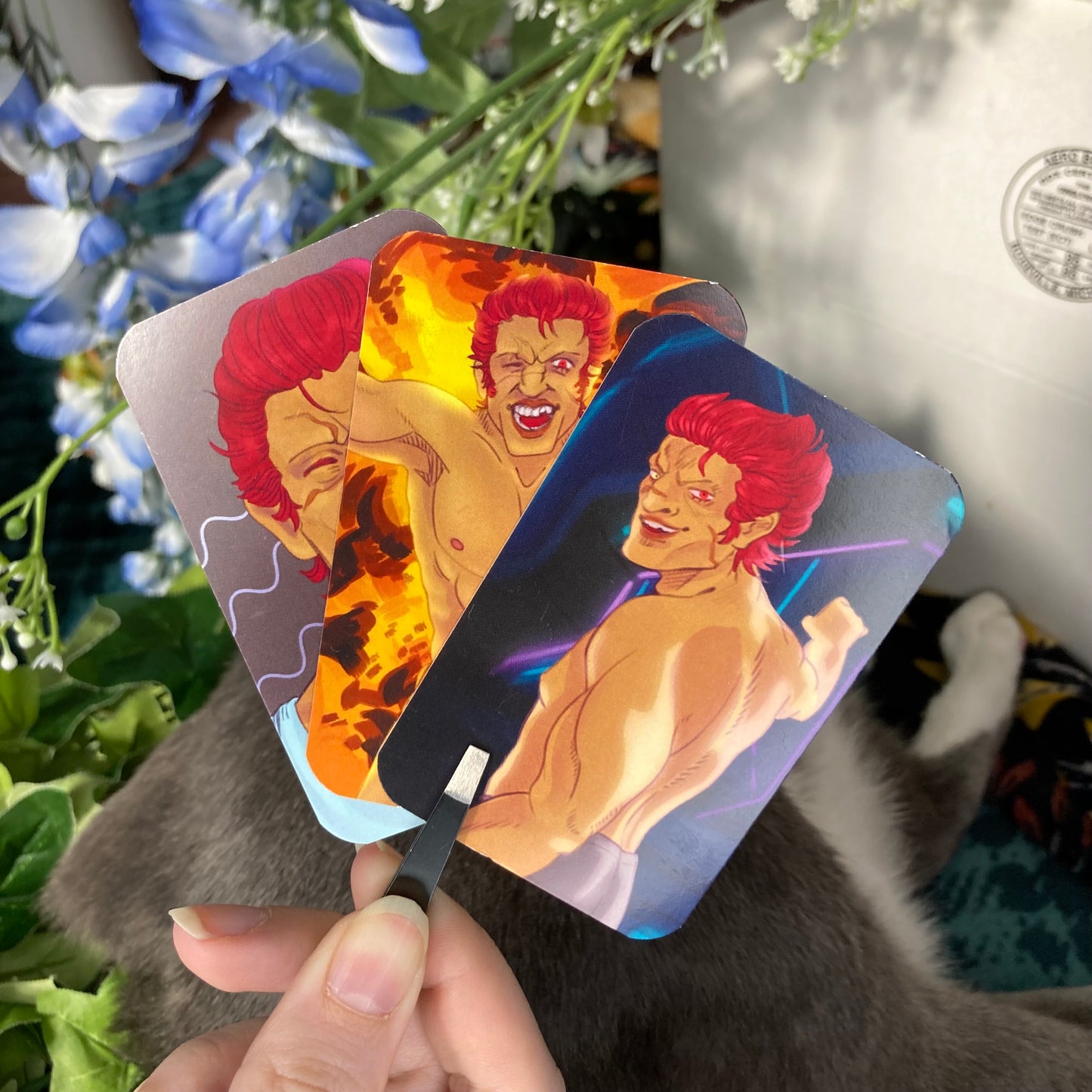 Fantasy Idol Wrestlers Raid Photocards!
