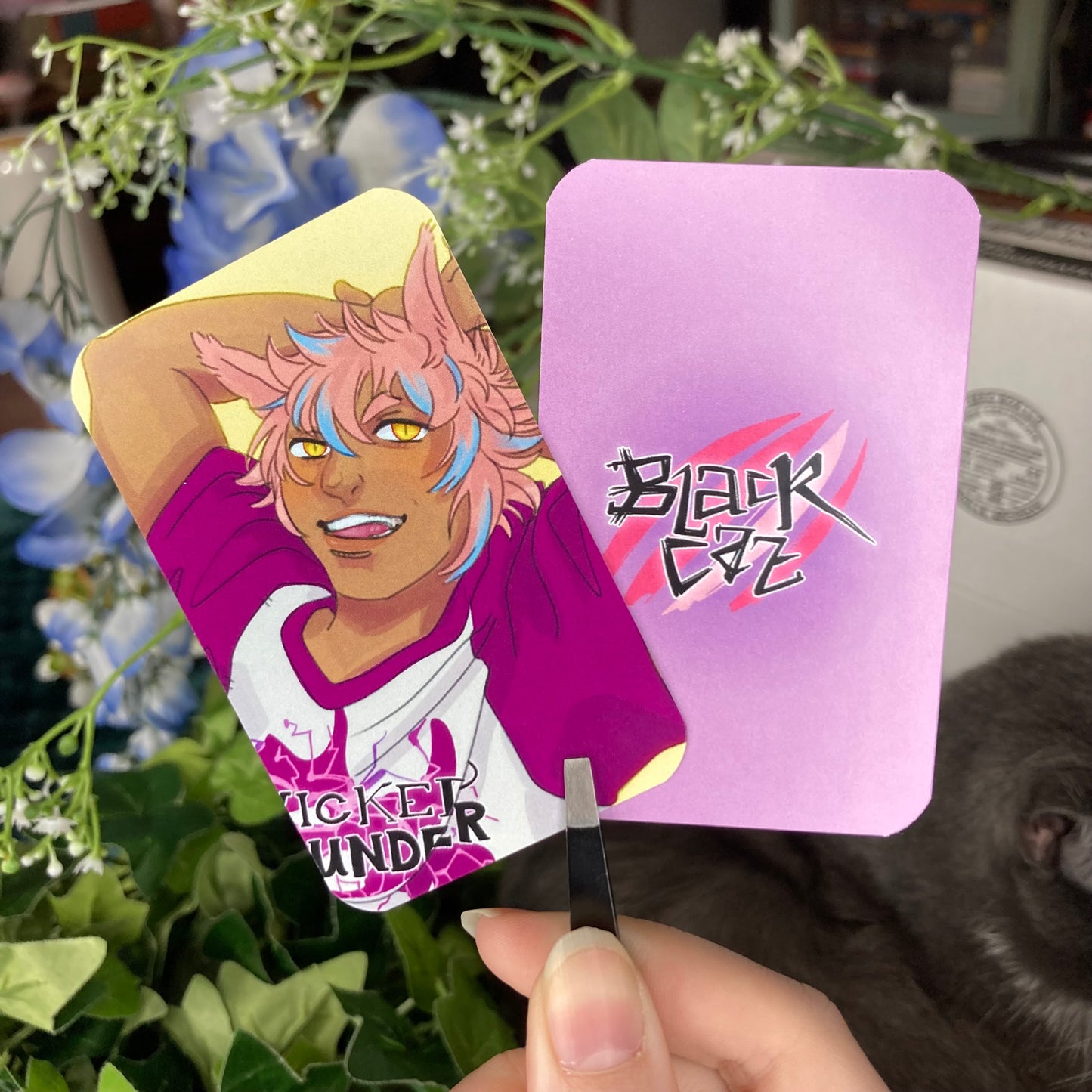 Fantasy Idol Wrestlers Raid Photocards!